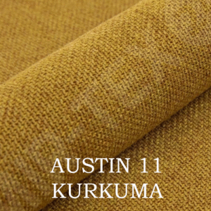 AUSTIN 11